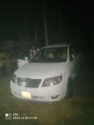 Toyota Corolla Fielder 2003 White