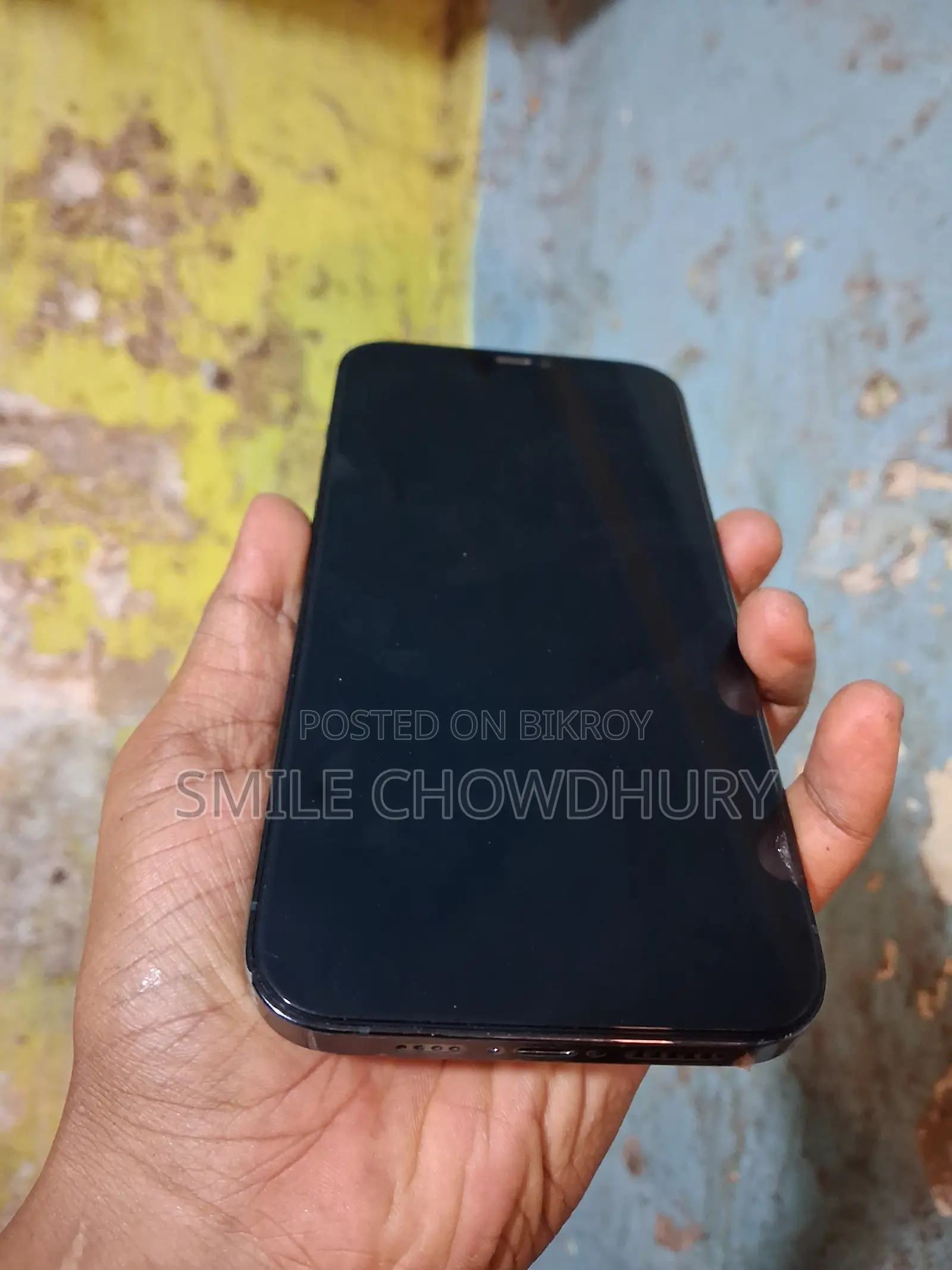অ্যাপল আইফোন ১২ প্রো ম্যাক্স ২৫৬ জিবি ব্লু