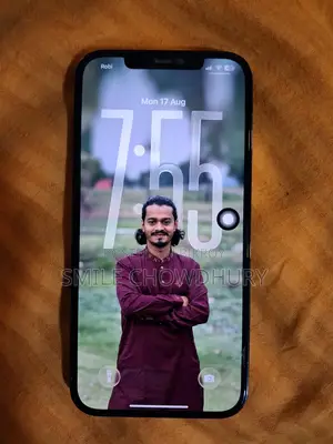 অ্যাপল আইফোন ১২ প্রো ম্যাক্স ২৫৬ জিবি ব্লু