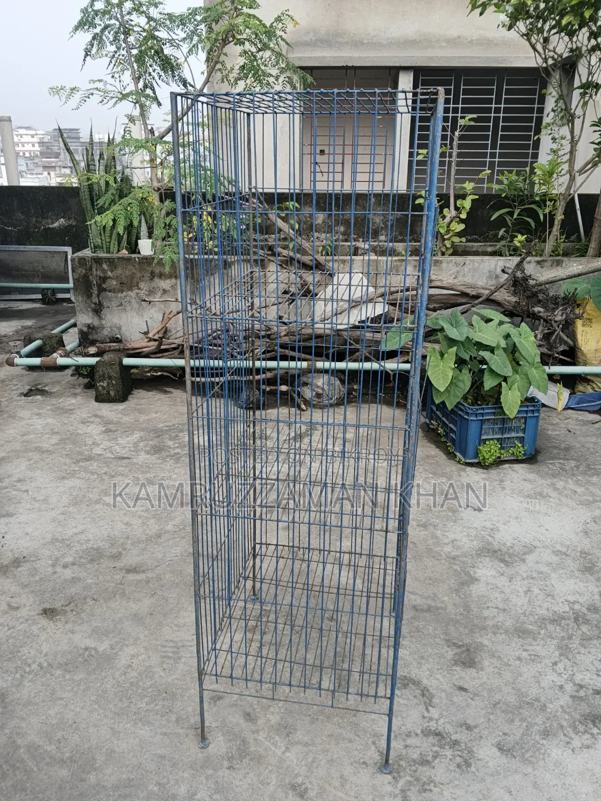 Pigeon Cage