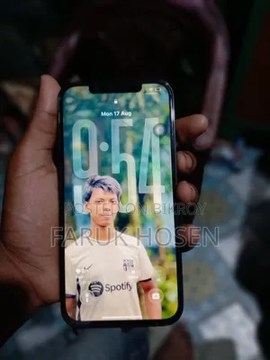 অ্যাপল আইফোন ১২ প্রো ম্যাক্স ২৫৬ জিবি নীল