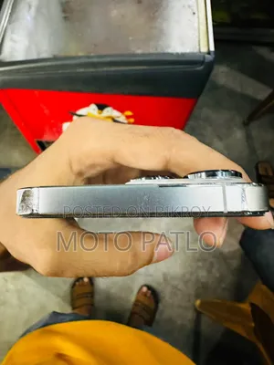 অ্যাপল আইফোন ১৩ প্রো ২৫৬ জিবি সিলভার