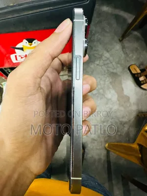 অ্যাপল আইফোন ১৩ প্রো ২৫৬ জিবি সিলভার