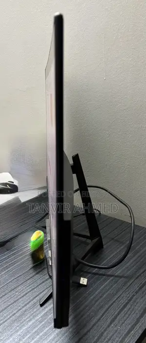 Walton CiNEd 23.8” 100Hz