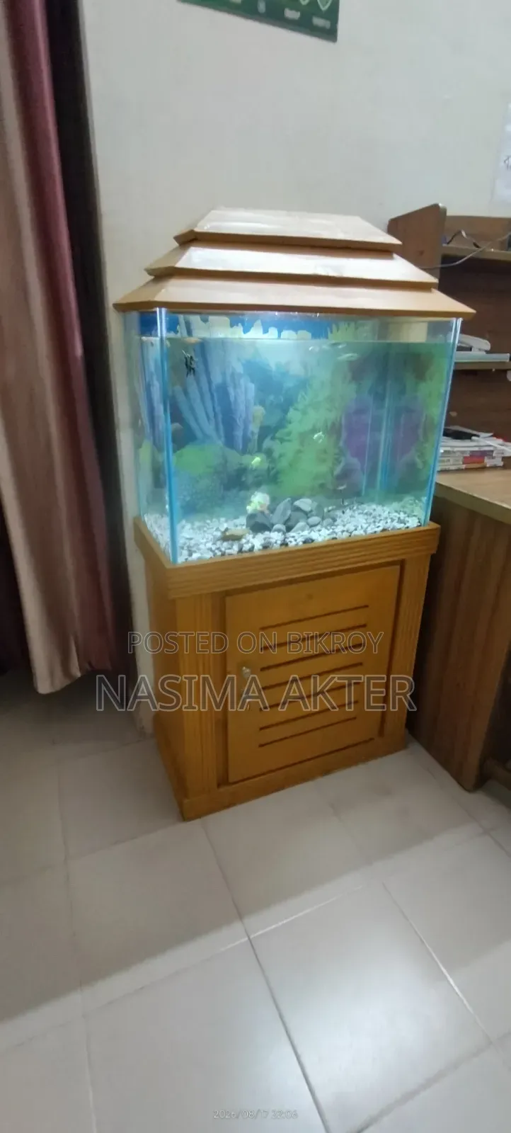 একুরিয়াম সেল