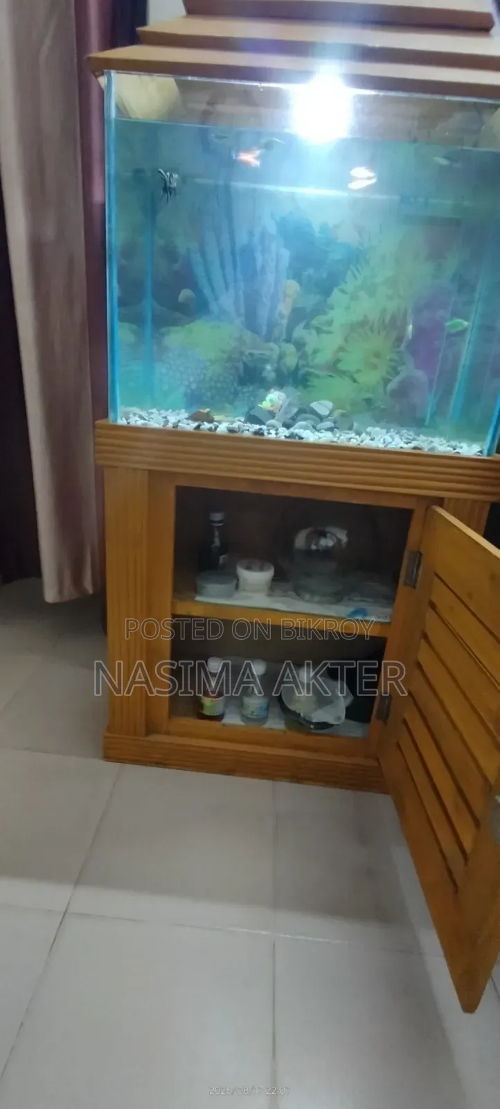 একুরিয়াম সেল