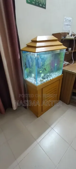 একুরিয়াম সেল
