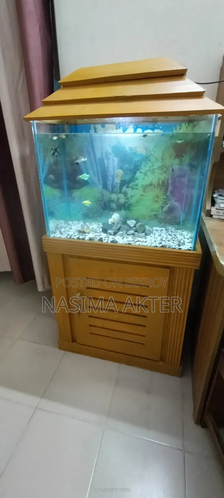 একুরিয়াম সেল