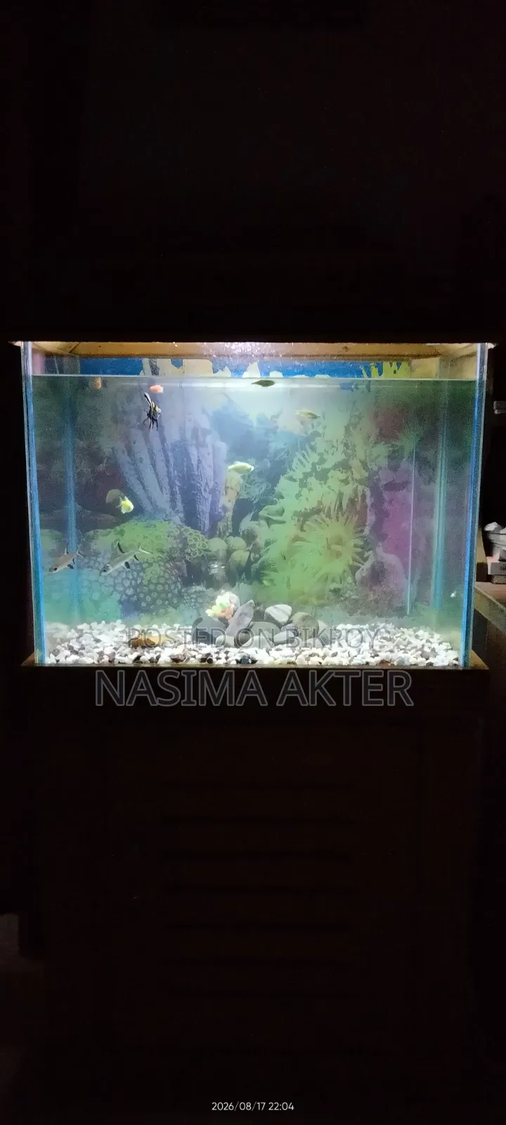 একুরিয়াম সেল