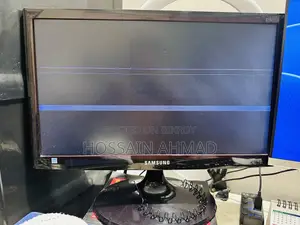 Samsung S19C300 19” LED Monitor — Panel Line Issue
