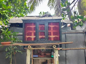 Pigeon Coop