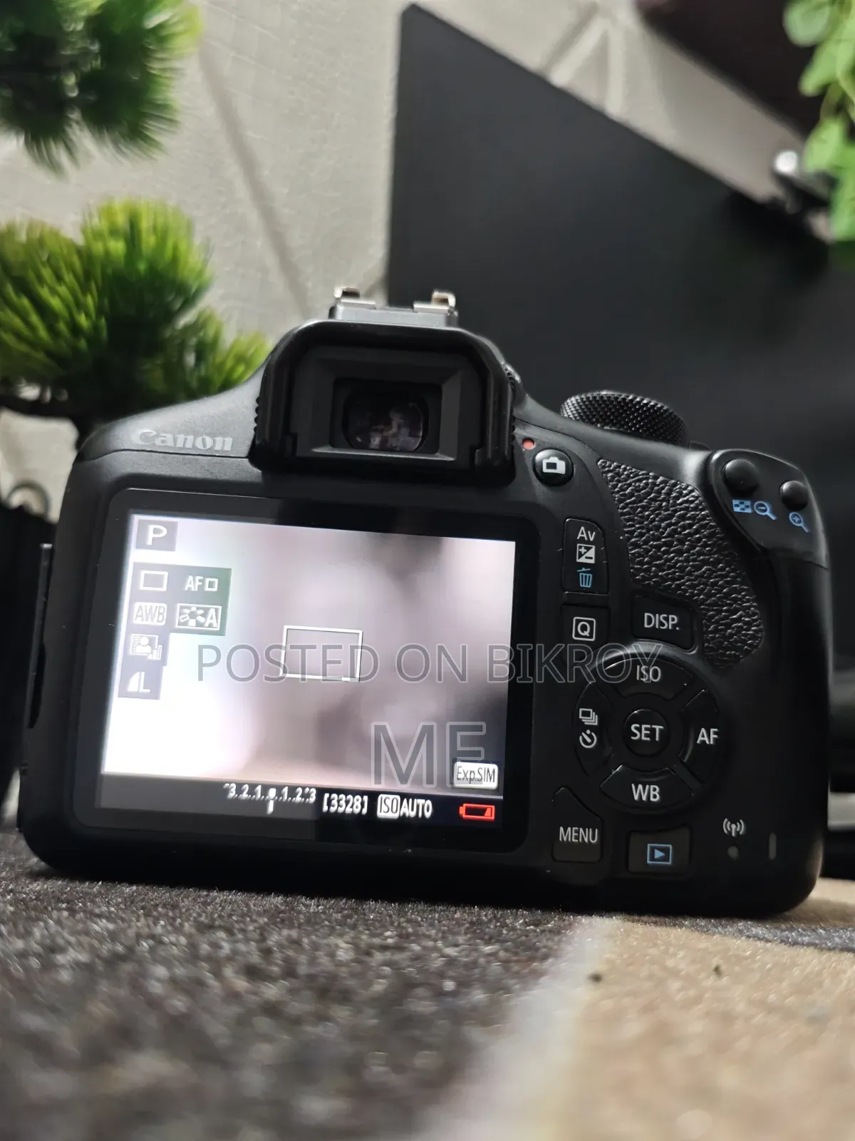 Canon 1300d With YONGNUO YN 50mm F/1.8 Lens for Canon EF