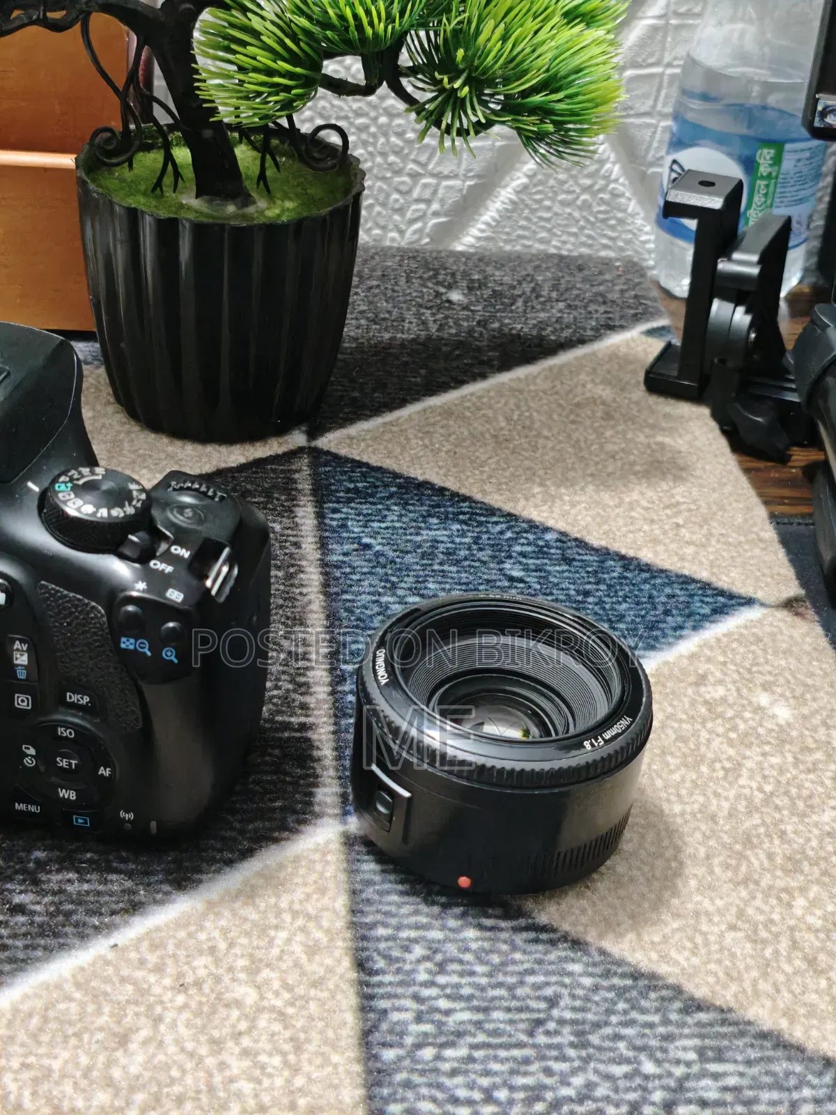 Canon 1300d With YONGNUO YN 50mm F/1.8 Lens for Canon EF