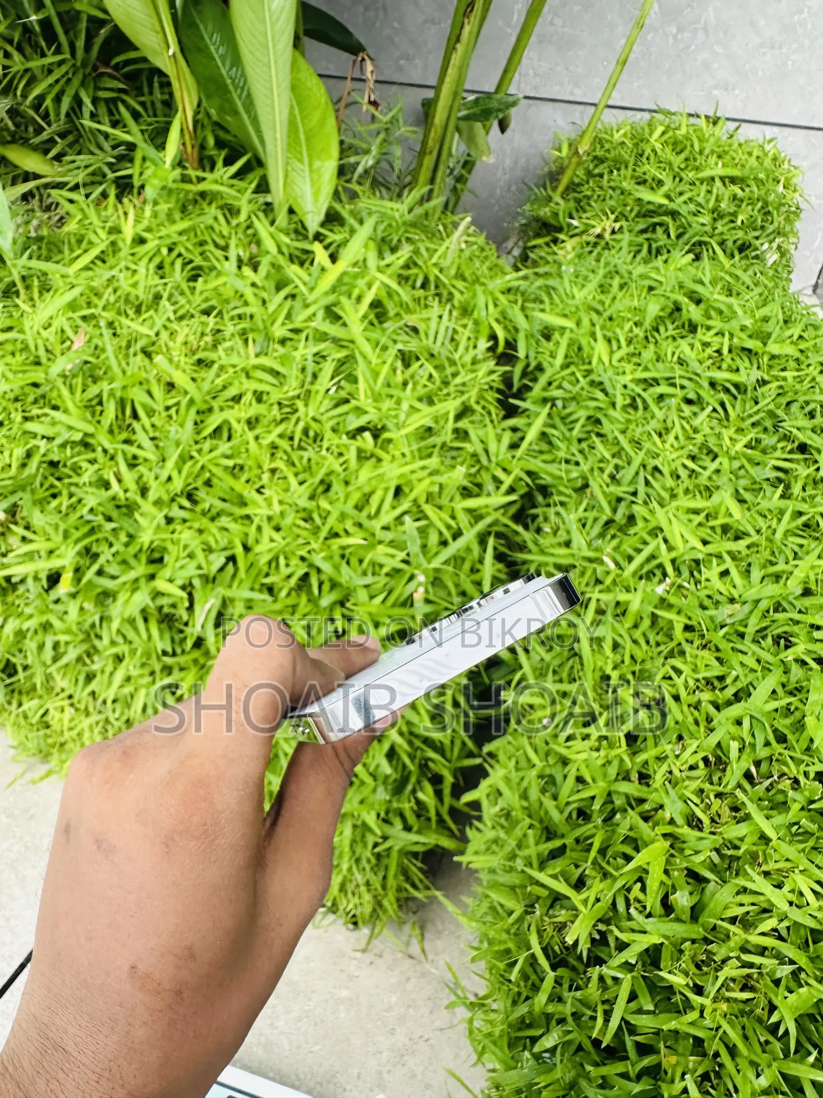 অ্যাপল আইফোন ১৪ প্রো ২৫৬ জিবি হোয়াইট