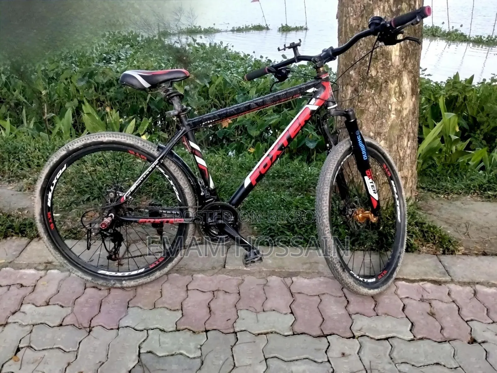 বাই সাইকেল