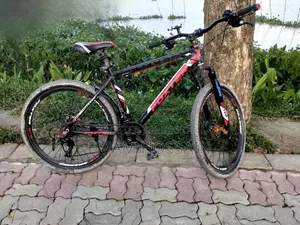 বাই সাইকেল