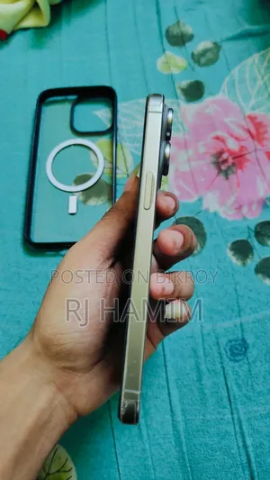 Apple iPhone 15 Pro Max 256 GB Silver