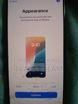 অ্যাপল আইফোন ১১ প্রো ম্যাক্স ২৫৬ জিবি গ্রে