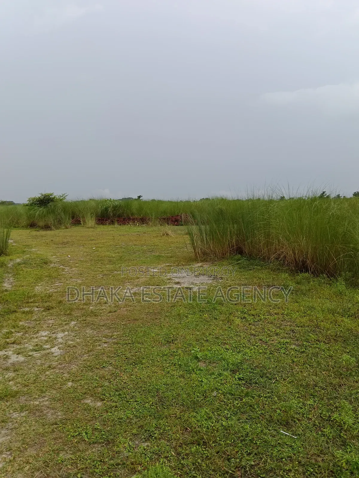 Army Jolshiri Main Road 10 Bigha Land Sale