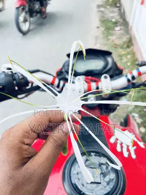 Benelli TNT 2019 Red