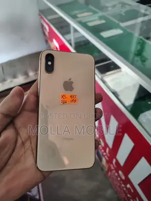 অ্যাপল আইফোন এক্সএস ২৫৬ জিবি রোজ গোল্ড