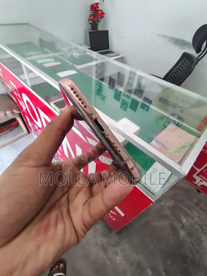 অ্যাপল আইফোন এক্সএস ২৫৬ জিবি রোজ গোল্ড