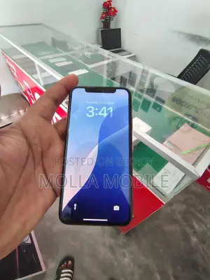 অ্যাপল আইফোন এক্সএস ২৫৬ জিবি রোজ গোল্ড