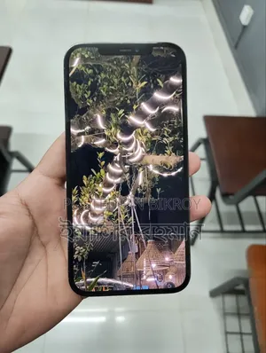 Apple iPhone 12 Pro Max 256 GB Blue