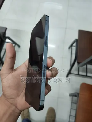 Apple iPhone 12 Pro Max 256 GB Blue