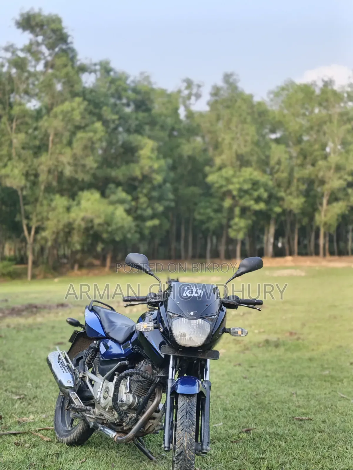 Bajaj Pulsar 150 2016 Blue