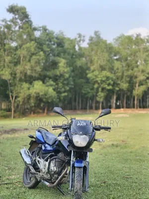 Bajaj Pulsar 150 2016 Blue