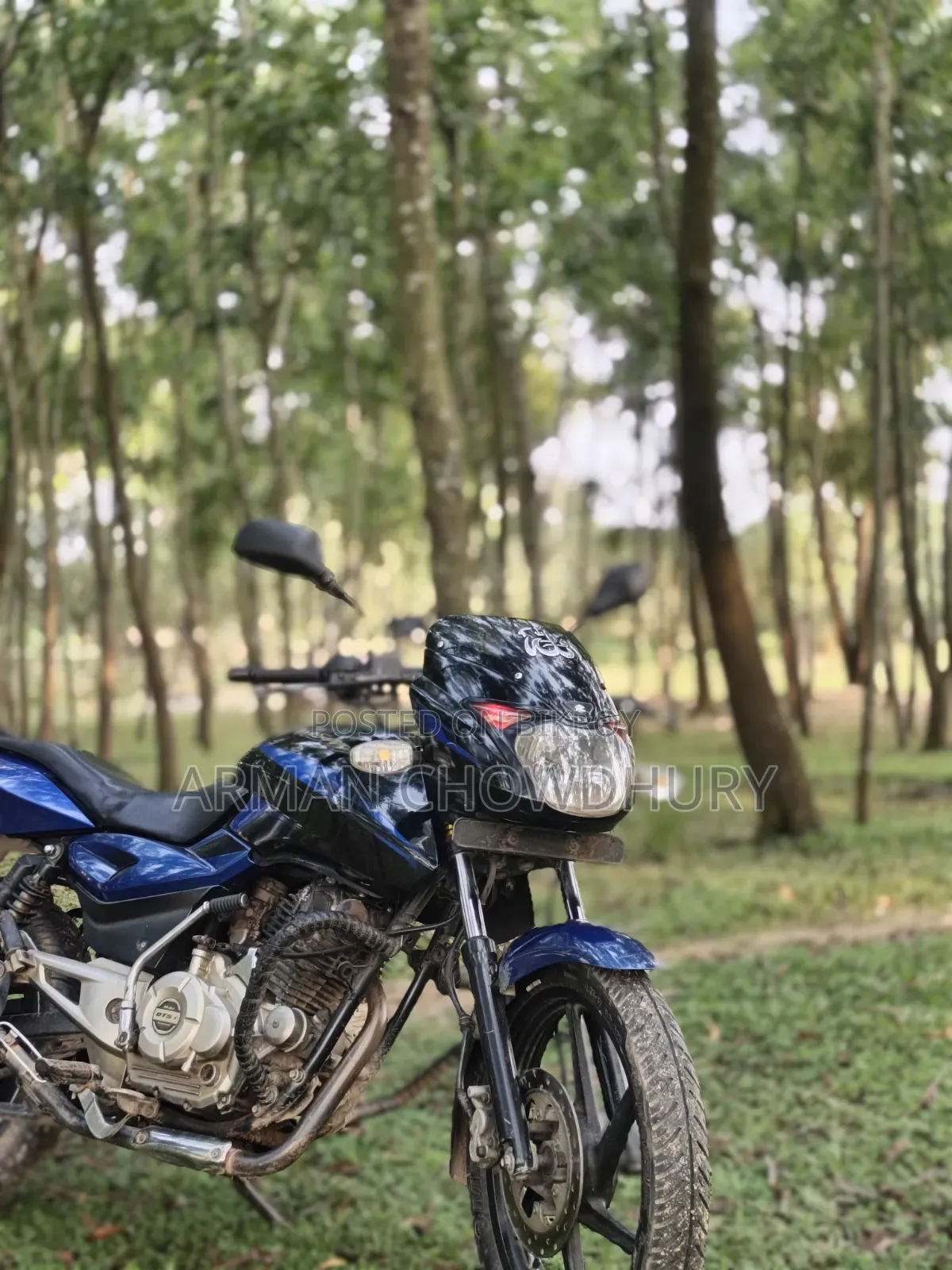 Bajaj Pulsar 150 2016 Blue