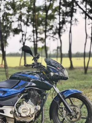 Bajaj Pulsar 150 2016 Blue
