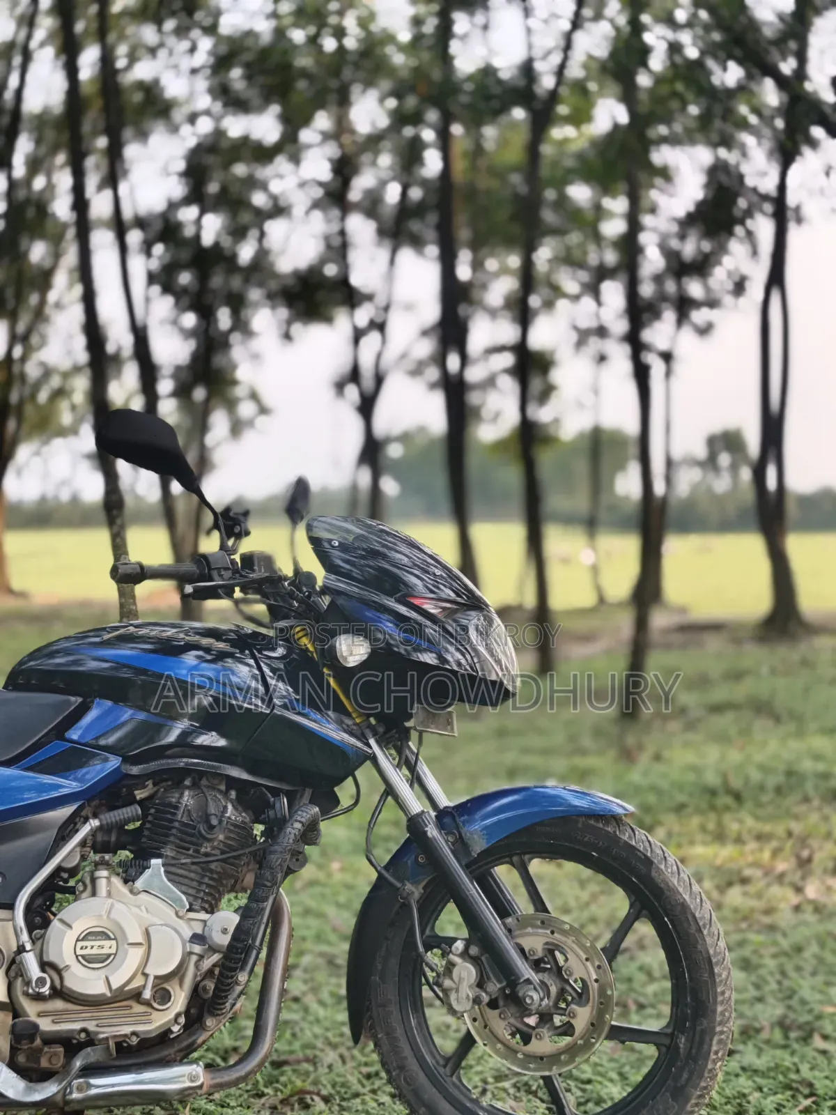 Bajaj Pulsar 150 2016 Blue