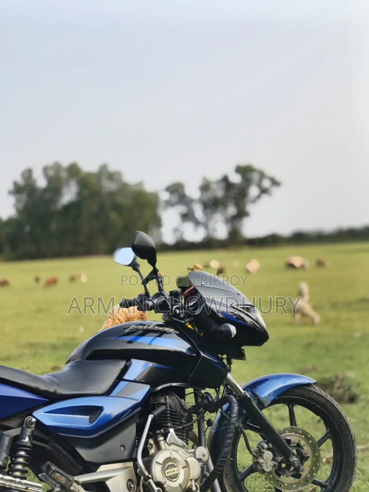 Bajaj Pulsar 150 2016 Blue