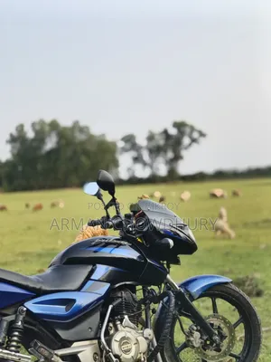 Bajaj Pulsar 150 2016 Blue