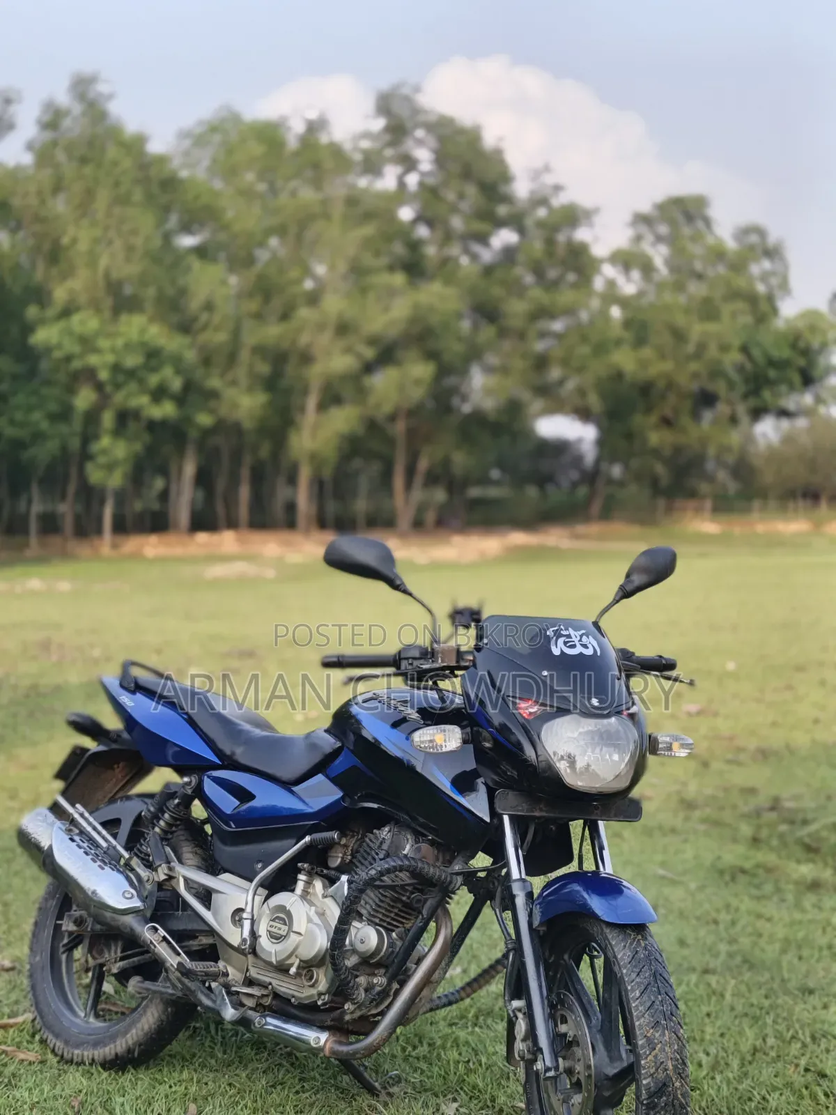 Bajaj Pulsar 150 2016 Blue