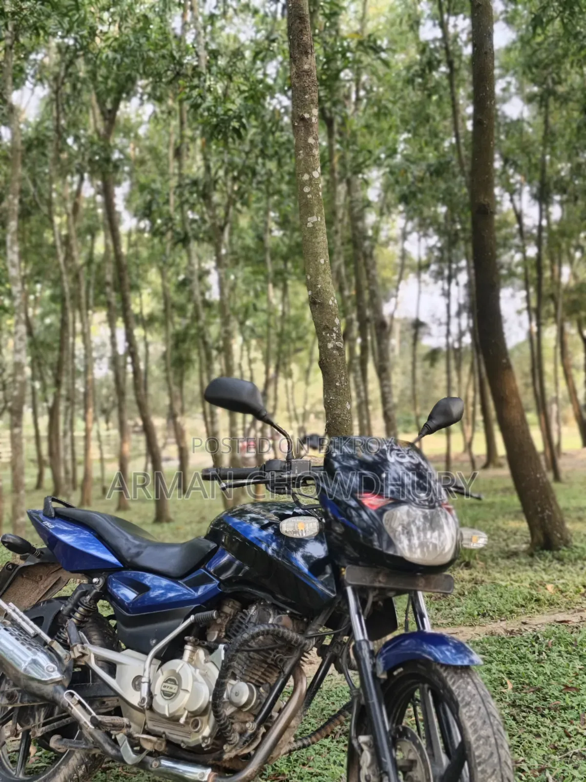 Bajaj Pulsar 150 2016 Blue