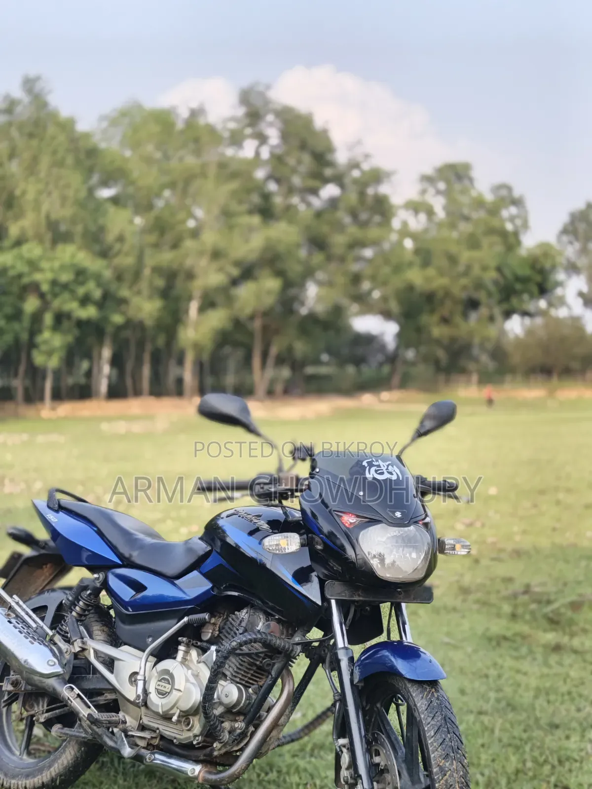 Bajaj Pulsar 150 2016 Blue