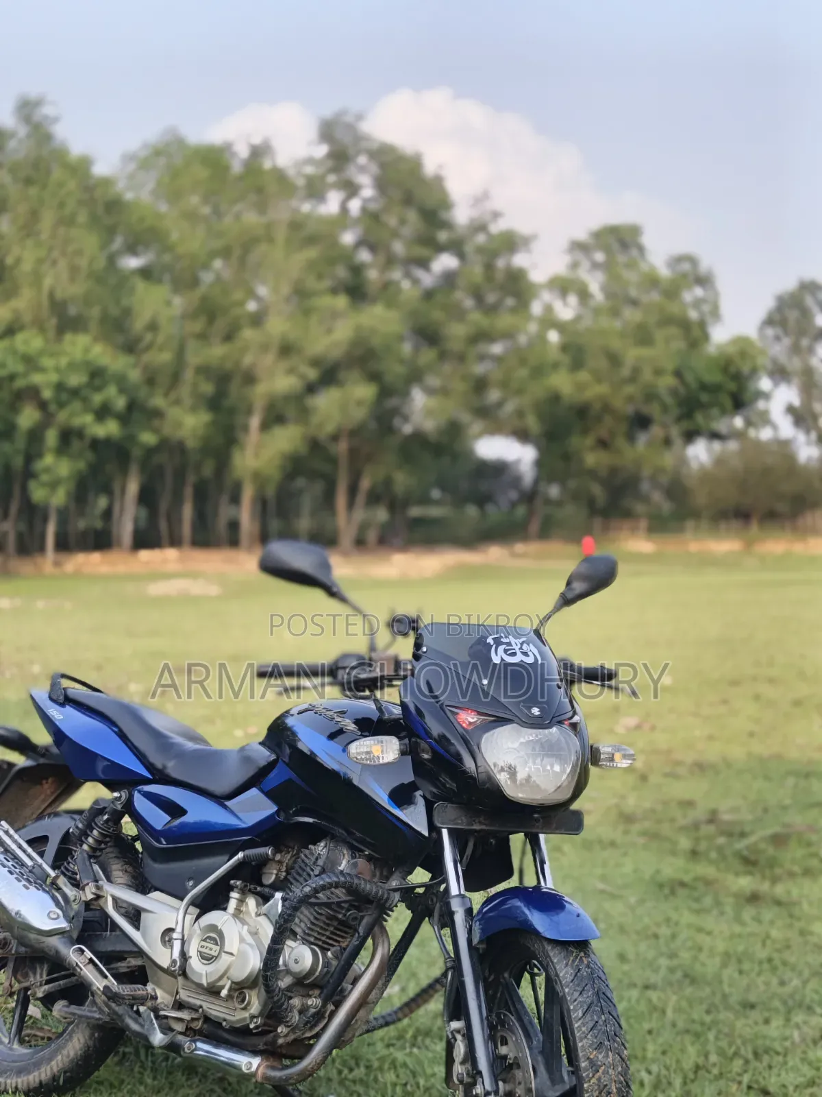 Bajaj Pulsar 150 2016 Blue