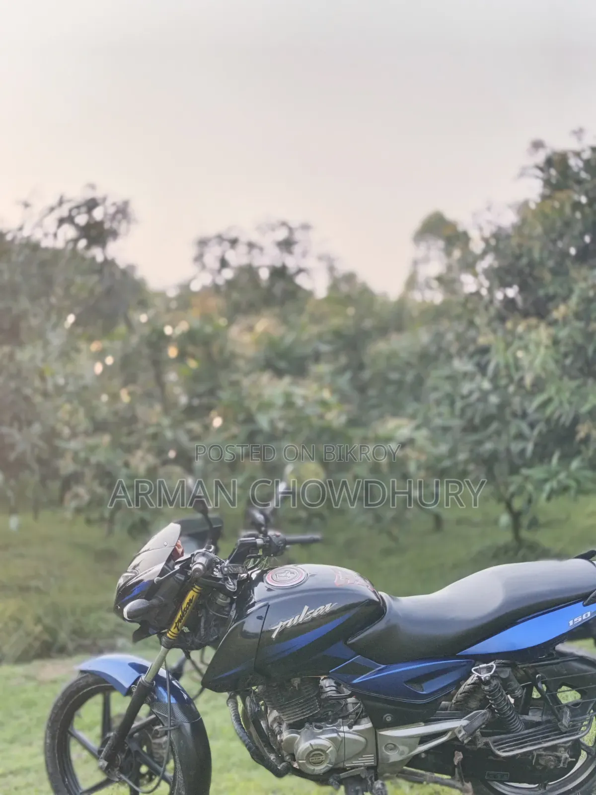 Bajaj Pulsar 150 2016 Blue