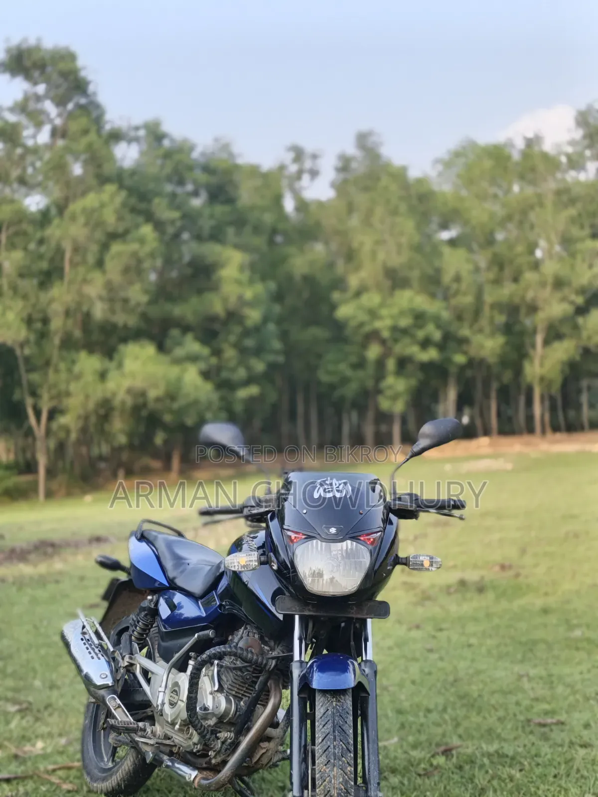 Bajaj Pulsar 150 2016 Blue