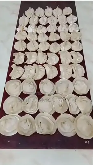ফ্রোজেন মোমো