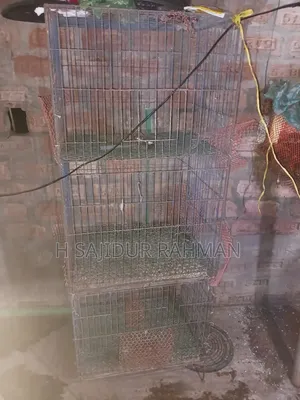 Chicken, Quail Cage