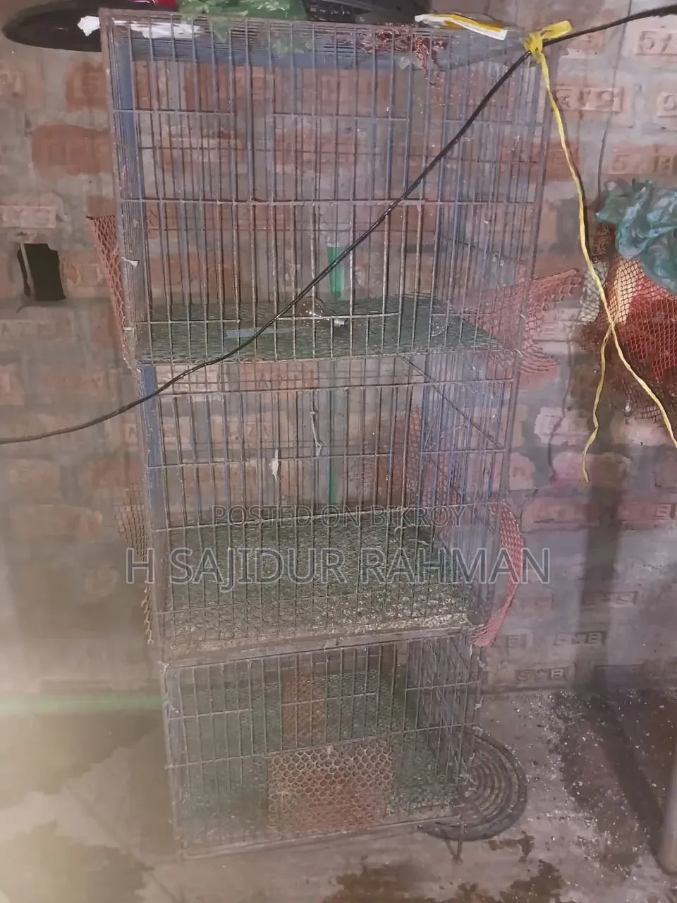 মোরগি, কোয়েলের খাচা