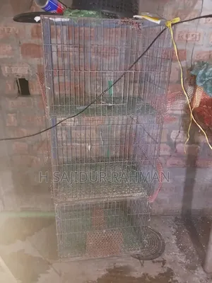 মোরগি, কোয়েলের খাচা