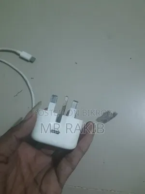 iPhone Original Charger