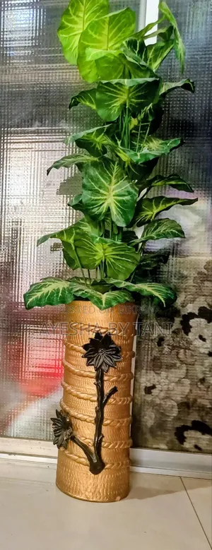New, 5 feet largest size taro leaf plant and expensive color tub