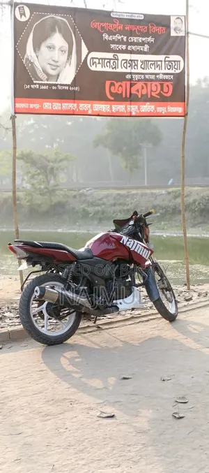 TVS Apache RTR 160 2V 2016 Green