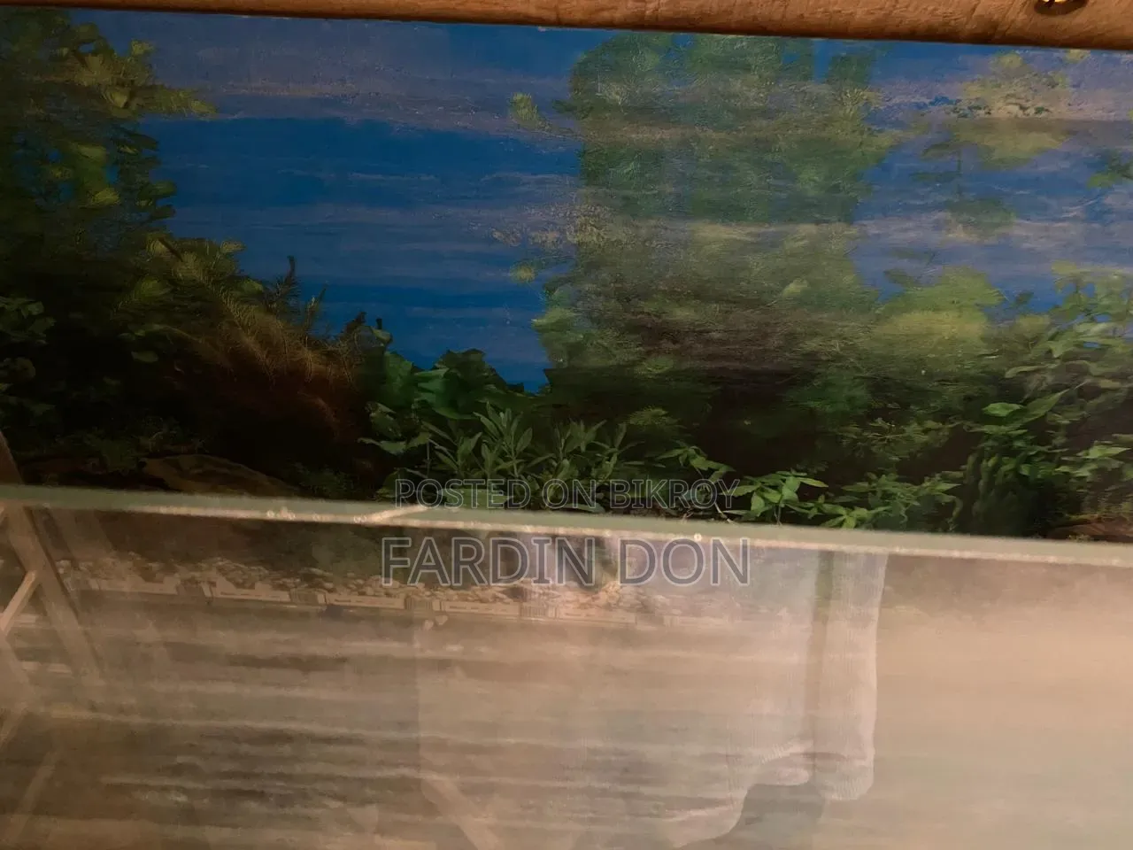 গ্লাস অ্যাকোয়ারিয়াম